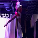 Aerial silks