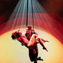 Aerial Straps, Aerial Silks