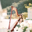Alaina Stark, Harpist