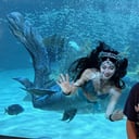 Blue Mermaid Designs