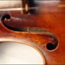 Alexandra String Services