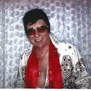 All4Fun Elvis Tribute &amp; More Stars