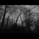All Seasons Die