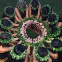 Aloha Dancers