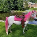 Aly's Ponies &amp; Traveling Barnyard