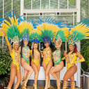 Amor do Samba