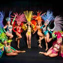 Amor do Samba