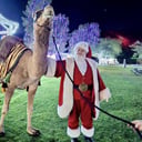 Arizona Camel Rental