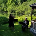 Ashley Freeman - Violinist