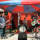 Attic Noise
