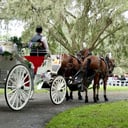 Avalon West Carriage Service