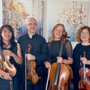 Avanti Strings