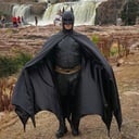 The Amazing Batman