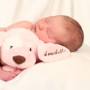 Beeman Photography