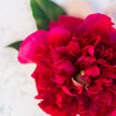 Floralove Design