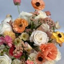 Bird &amp; Bloom