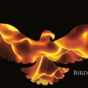 Birds of the Sun
