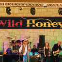 Wild Honey
