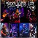 Blind Dog Joe - Party, Dance, Rock &amp; Roll