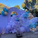 Blooms by jess