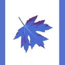 Blue Maple Photography
