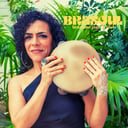 Brasoul