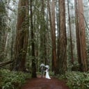 Brianna Parks Photography