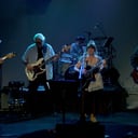 Brownedog Blues Band