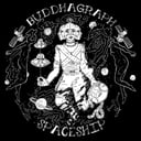 Buddhagraph Spaceship