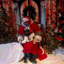 Buffalo Ridge St. Nick