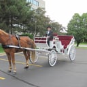 Candlelight Horse and Carriage LLC