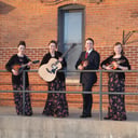 Carlstedt Family Band