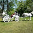 Carolina Carriages