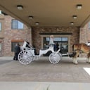 Carriages of Colorado