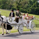 Carriages of the Capital