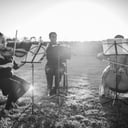 Firefly Strings