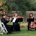 Cello Vida