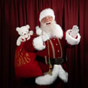 REAL Beard Central Florida Santa Claus