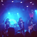 Hollywood Roses