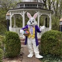 Cincy Easter Bunny