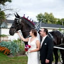 Cinderella Carriage LLC