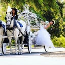 Cindy Cinderella Carriages