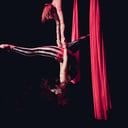 Cirque Indy