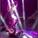 Cirque Roots