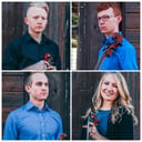 The Primo Strings
