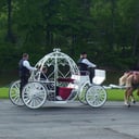 Colonial Acres Carriage Service