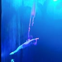 Corissa's elegant aerial performances