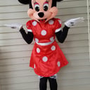 Costume Character rentals