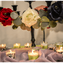 Creative Eye 4 Event Planning/Decorator