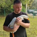 Critters on Call (Sheehan Homestead LLC)